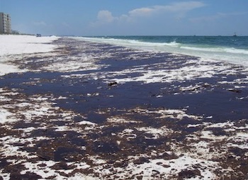 oiled beach